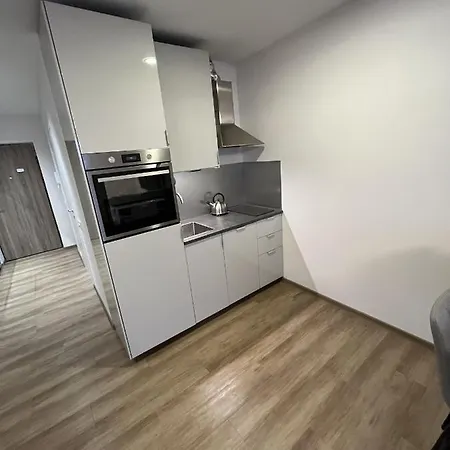 Lovely Flat With Great Location Вильнюс