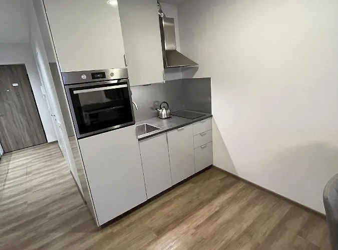 Lovely Flat With Great Location Vilnius